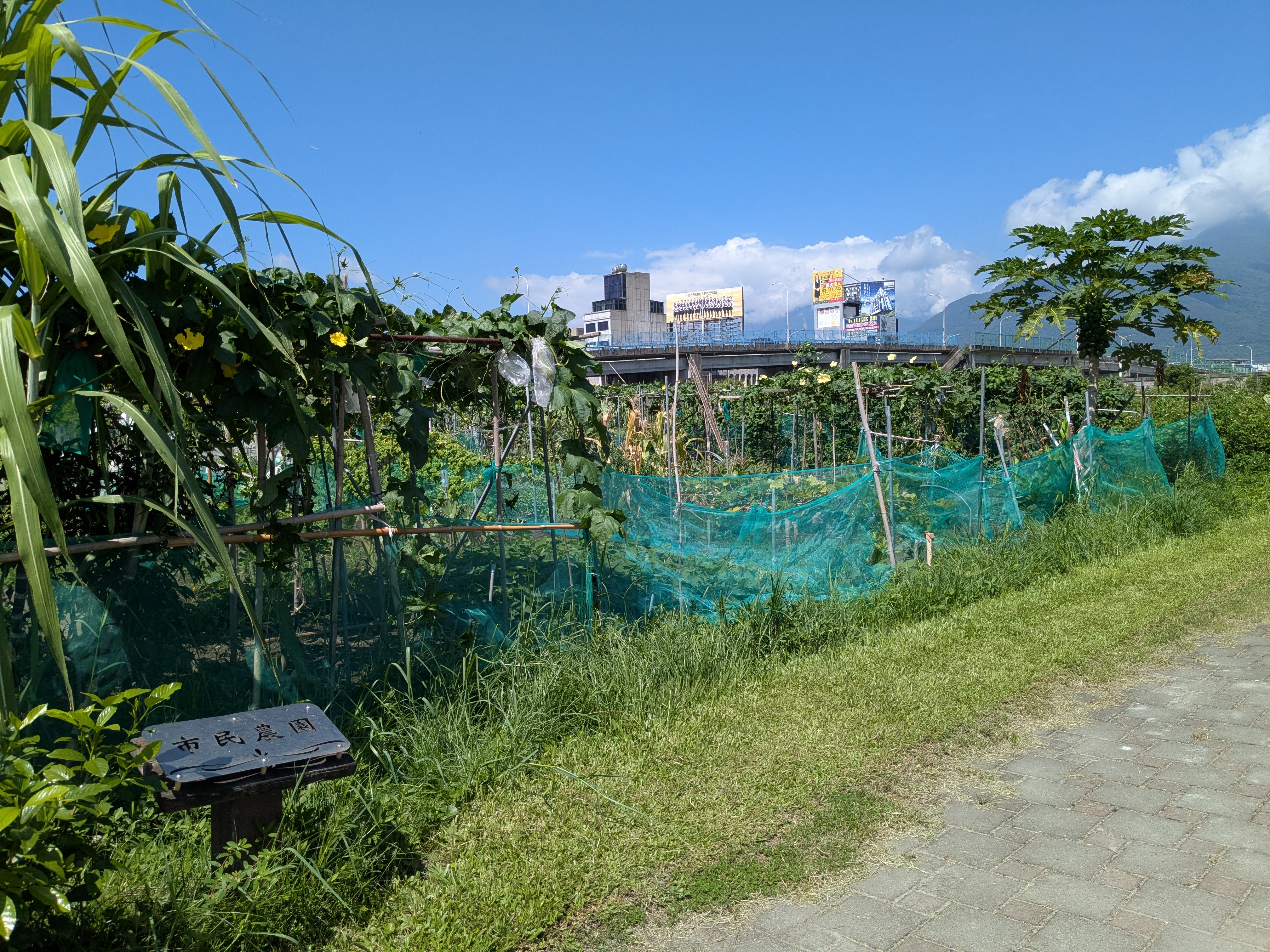 市民農園 市民農園