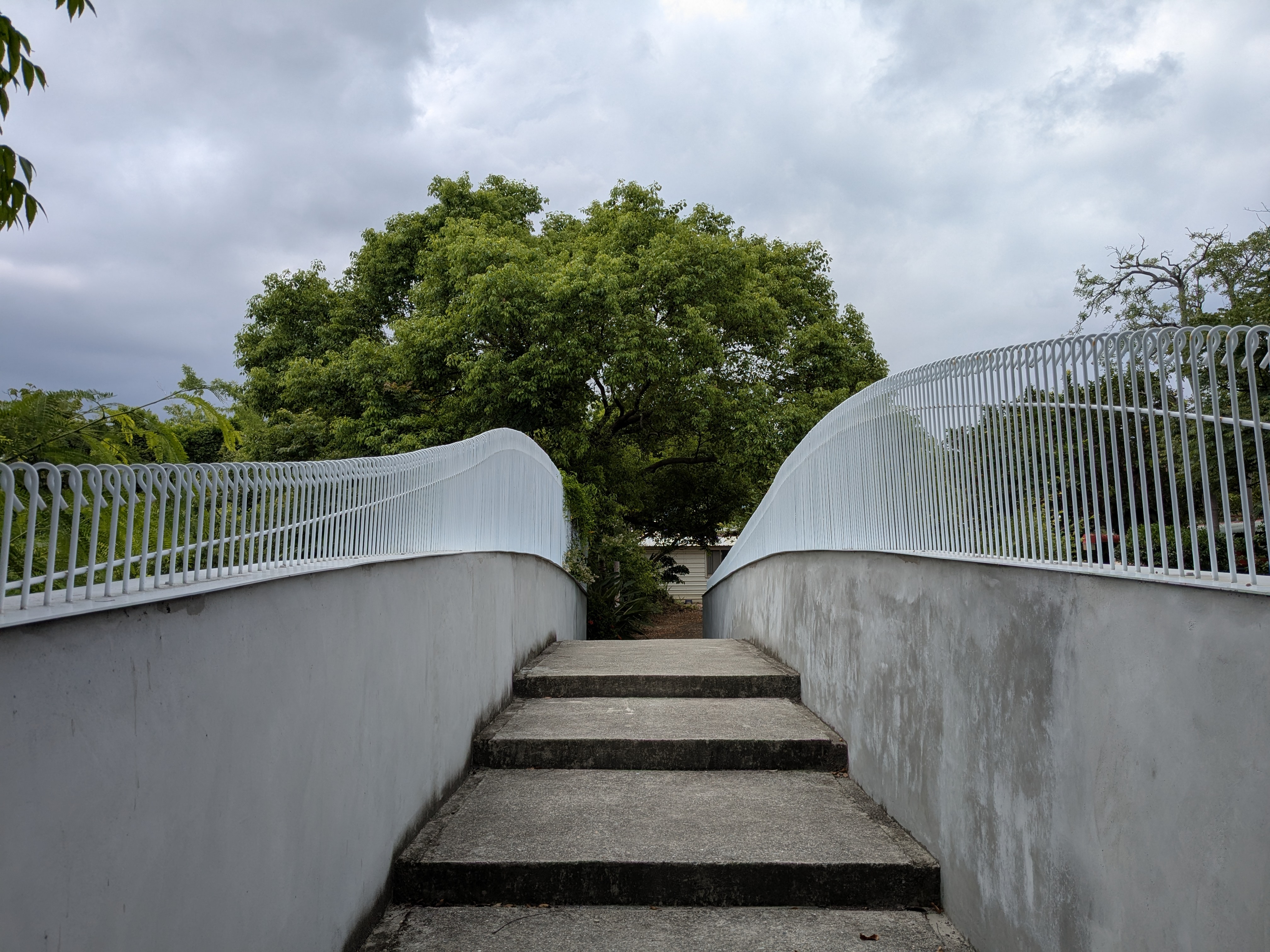 生態池「雲山橋」 生態池「雲山橋」