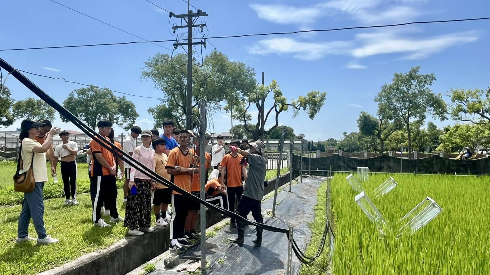 淨零碳排偵測